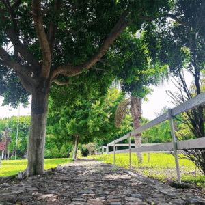 Quienes somos 10698 7ql0kortkdkorhijgl5tkyvmp6orjh