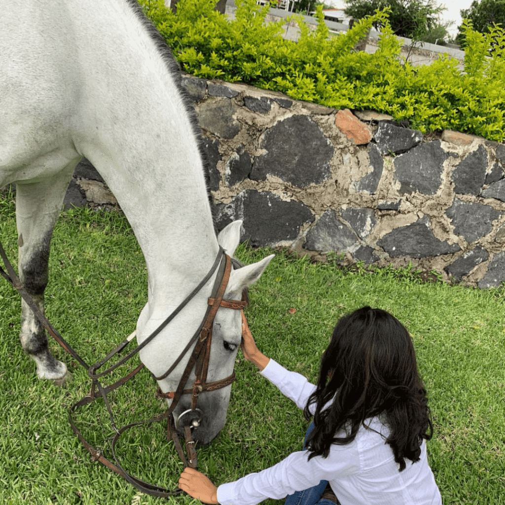 10698 rkaonpe2rhrtrzidsiguu1h22r4ad5