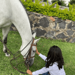 10698 rkaonpe2rhrtrzidsiguu1h22r4ad5