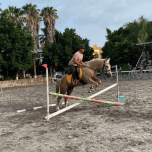 10698 gfe0gj47zlu18detpnkl7raa04kgvk