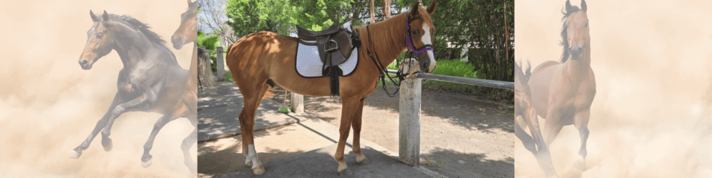 10698 kuapgilbos7twwcpuv1ngbeguwtx5j