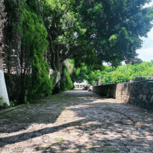 Quienes somos 10698 lgy9rx8rui12vcqruoji7za1ldqzns