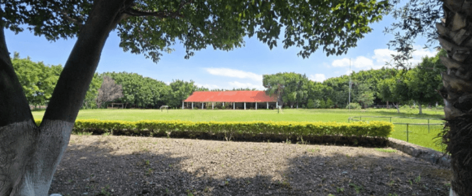 10698 tagrf9f8yzkp5bkkyctqvfpwqk4c6b