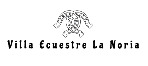 10698 aonxvyavvdgccil08wgcnj2hox2llm